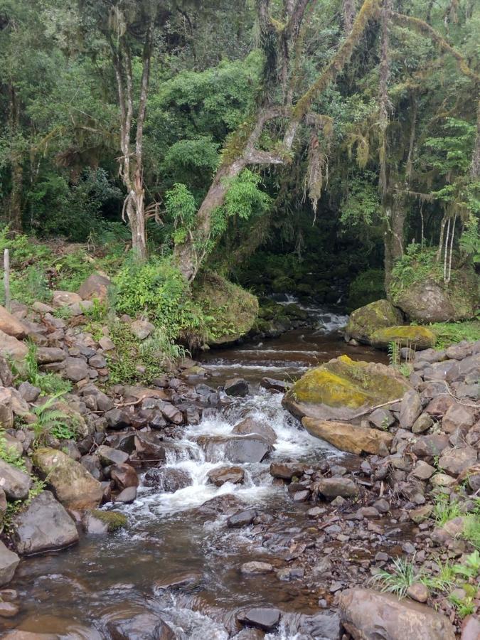 Pé Serra Dos Bitu 3 Urubici