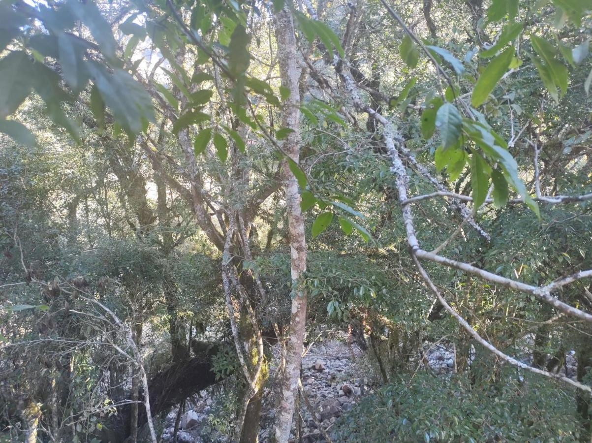 Pé Serra Dos Bitu 3